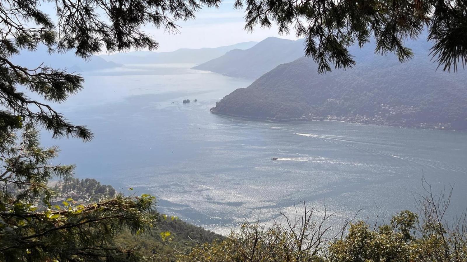 Villa Del Castanar Maccagno Екстер'єр фото