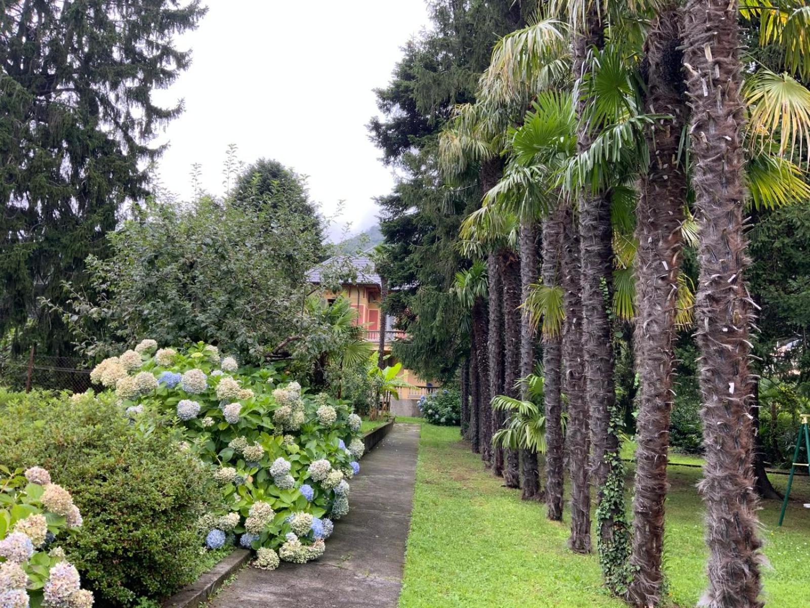 Villa Del Castanar Maccagno Екстер'єр фото